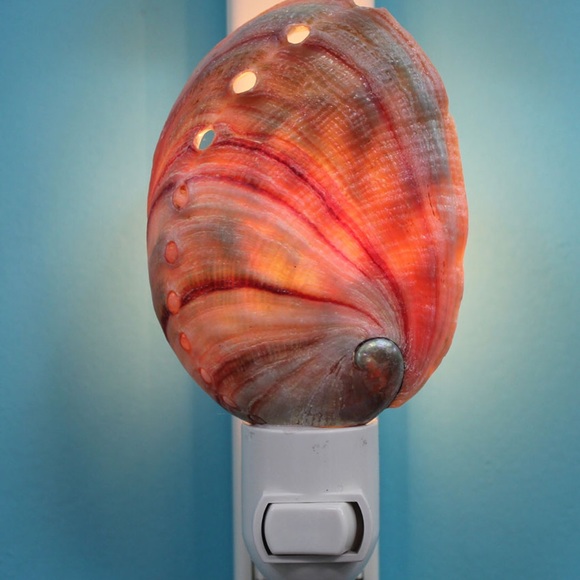 New! Hand-crafted Red Abalone SeaShell Nightlight - Picture 4 of 6